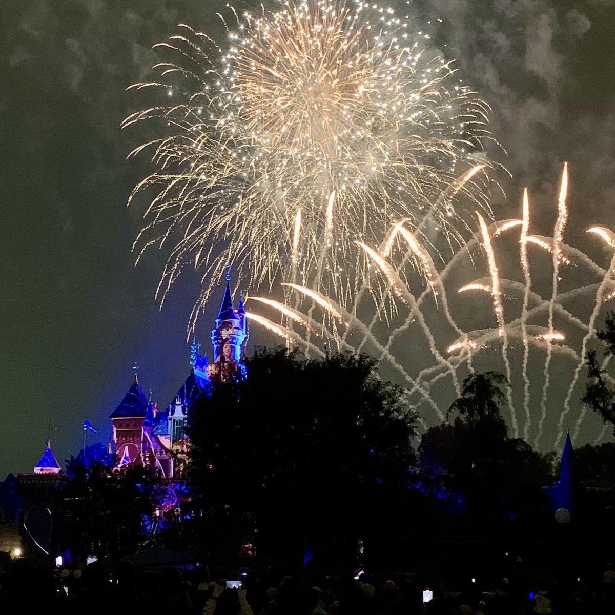 DAPs_Magic's tweet photo. Wondrous Journeys is back for #Disneyland70. The first night of the popular fireworks spectacle filled the skies with Disney magic.
#dapsmagiclive https://t.co/VlMq7Cm9g3
