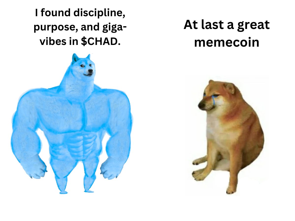 a great GM and $CHAD on $SUI is what u need rn