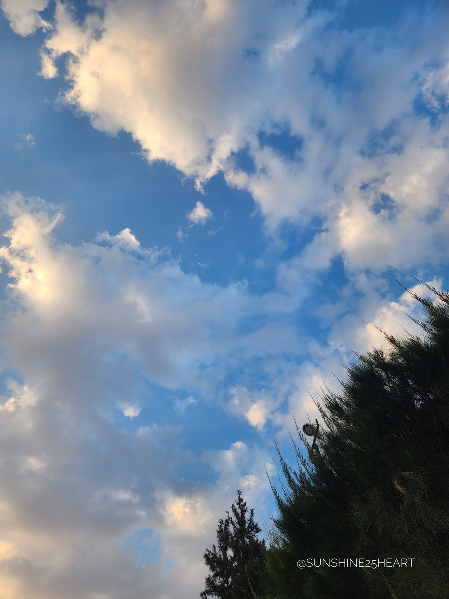 sunshine25heart's tweet image. Soft afternoon, pretty clouds!

#sky #prettyclouds #clouds #sunshine #sunshine25heart