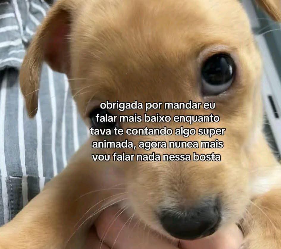 KamiBaka's tweet photo. Como faz p cabeça parar de falaaaaaaaaar https://t.co/iVxW8pfuac
