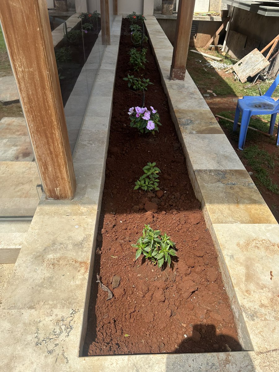 Botanique Designers tweet media