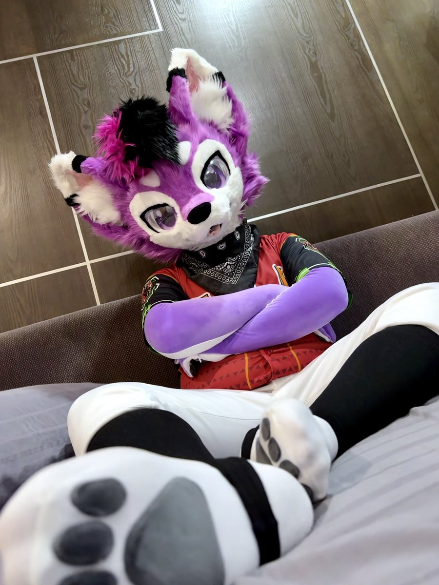 Huskyaoo's tweet image. 放在你前面就知道要做什麼了吼 😈

📸: @Randaeyote 

#FursuitEveryday