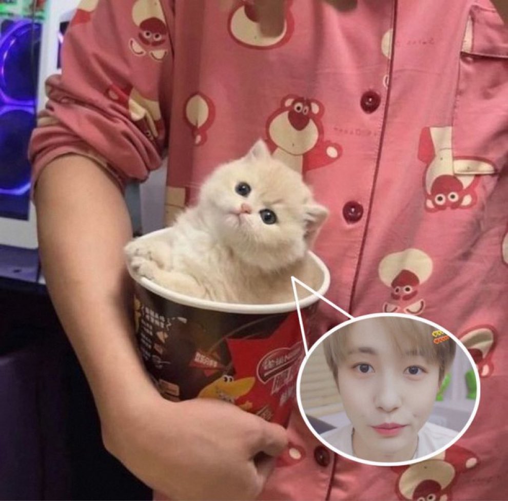 ปะปี๊จาพานุไปไหนงะ