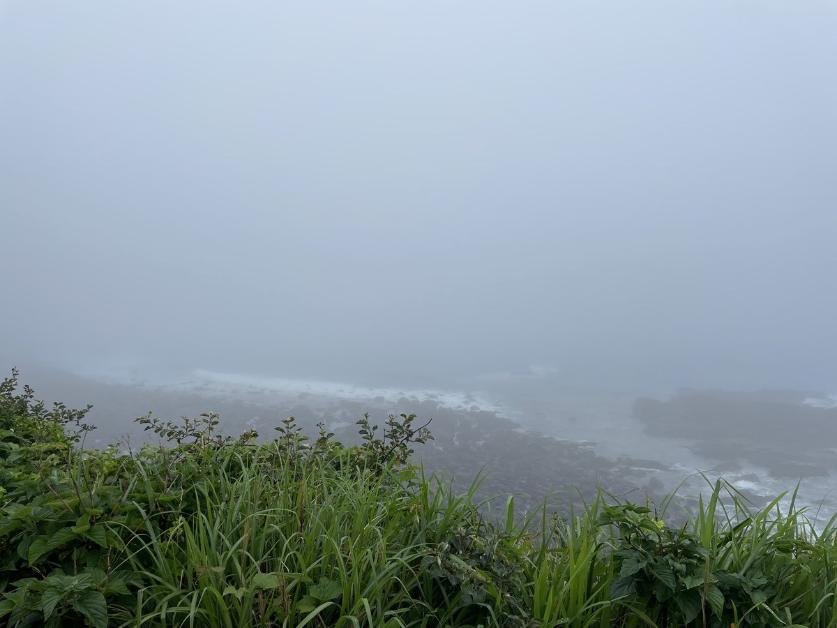 trotsky_boss's tweet image. 何も見えない