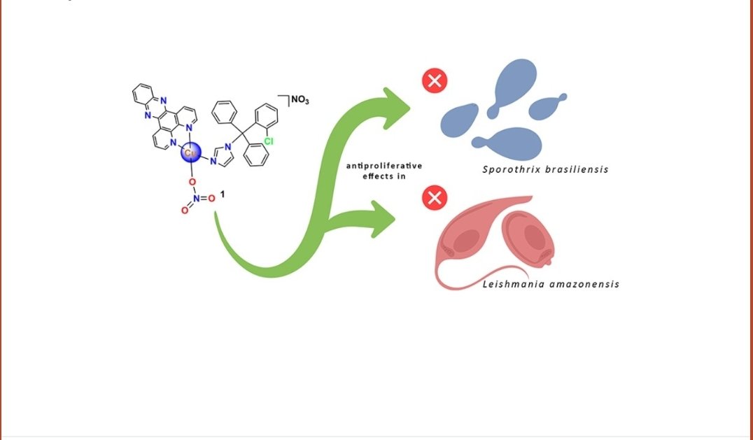 José Aleixo de Azevedo França (@jaleixoaf) on Twitter photo Check out my latest article "Synthesis, characterization, DNA interaction studies, and biological evaluation of copper(II) hybrids containing azole drugs and intercalating ligands against neglected diseases" published in <a href="/Metallomics/">Metallomics</a>
doi.org/10.1093/mtomcs⊠Check out my latest article "Synthesis, characterization, DNA interaction studies, and biological evaluation of copper(II) hybrids containing azole drugs and intercalating ligands against neglected diseases" published in <a href="/Metallomics/">Metallomics</a>
doi.org/10.1093/mtomcsâŠ