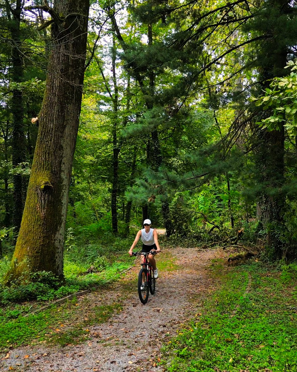 bikademy's tweet photo. Weekend forecast:
☀️ 0% Zoom calls
💨 100% fresh air
🚲 Side effects may include: stronger legs, better mood, and total destination envy.
Don’t overthink it. Just ride.
#bicycle #cycling #travel #activee #mobility #bike #bikeride https://t.co/TvpKlFTefI