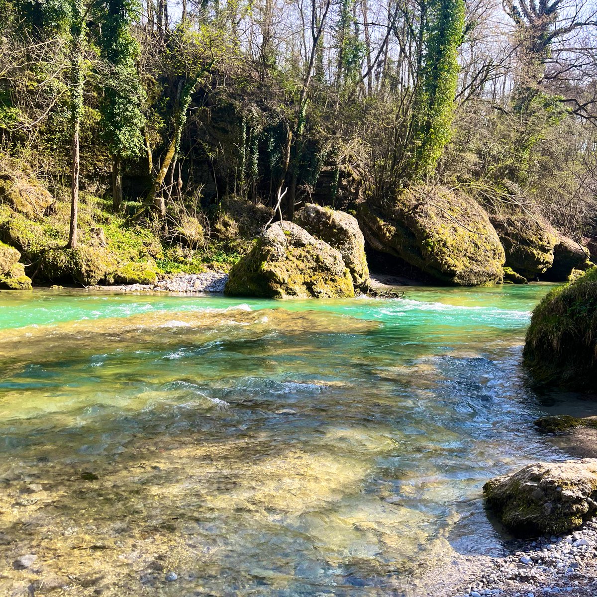 TechZz 🇦🇹 tweet media