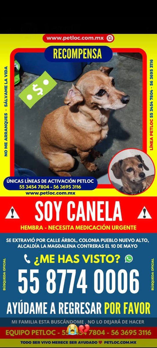 Laia Fernandez (@laialandia) on Twitter photo 