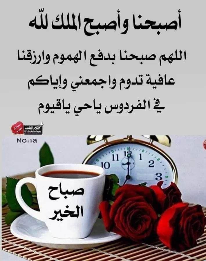 محمد منصور (@mmansourf16) on Twitter photo 