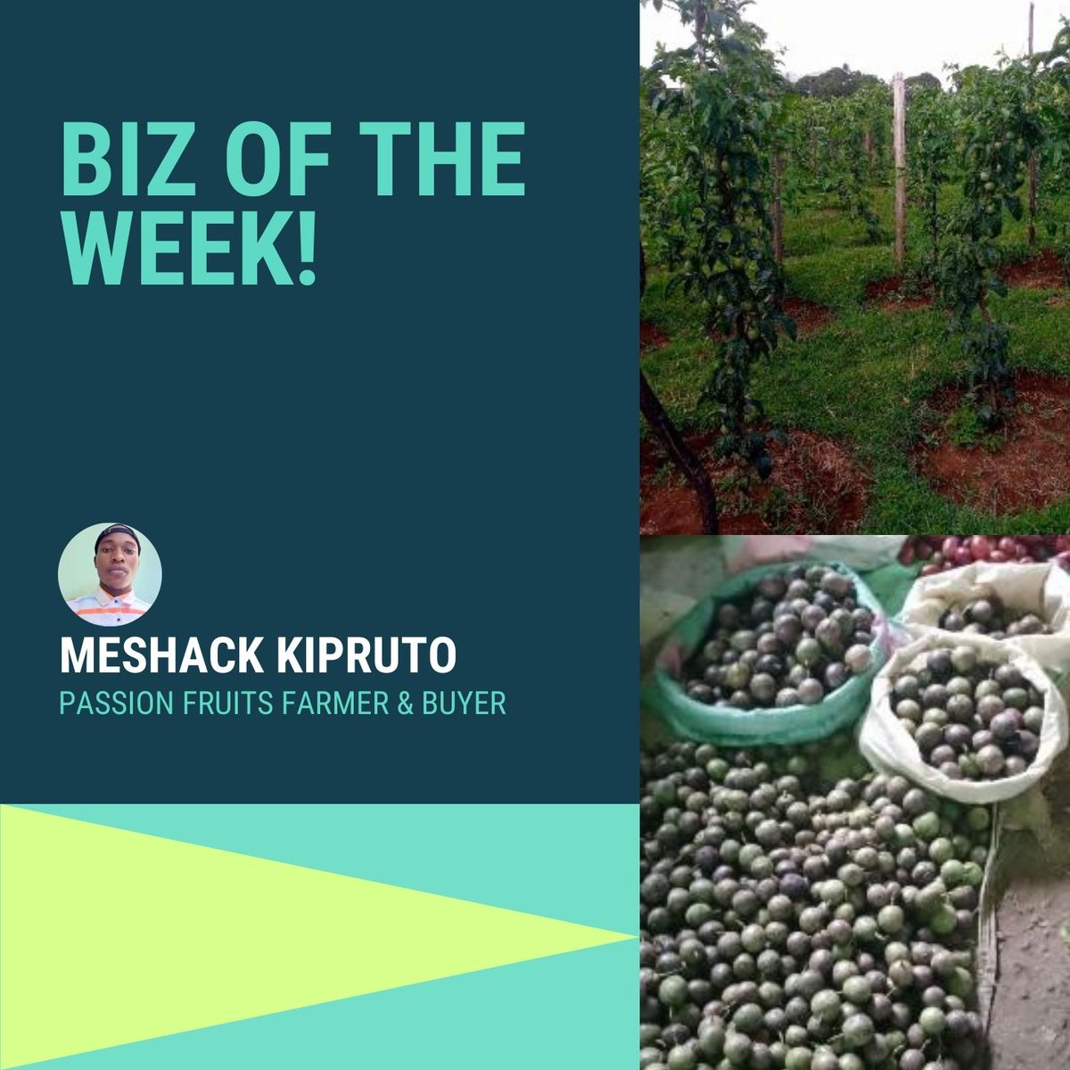 MESHLIFE254's tweet image. Niaje Fam! 👋
Our #BizOfTheWeek on MESH ni Meshack Kipruto.🍈
Ni passion fruit farmer na buyer mwenye ana hustle with passion.💪💯
Whether unataka kuchukua stock, kuuza , ama kujifunza farming tips.
👉Connect na yeye on MESH hapa: mesh.life/app/profile/Me…