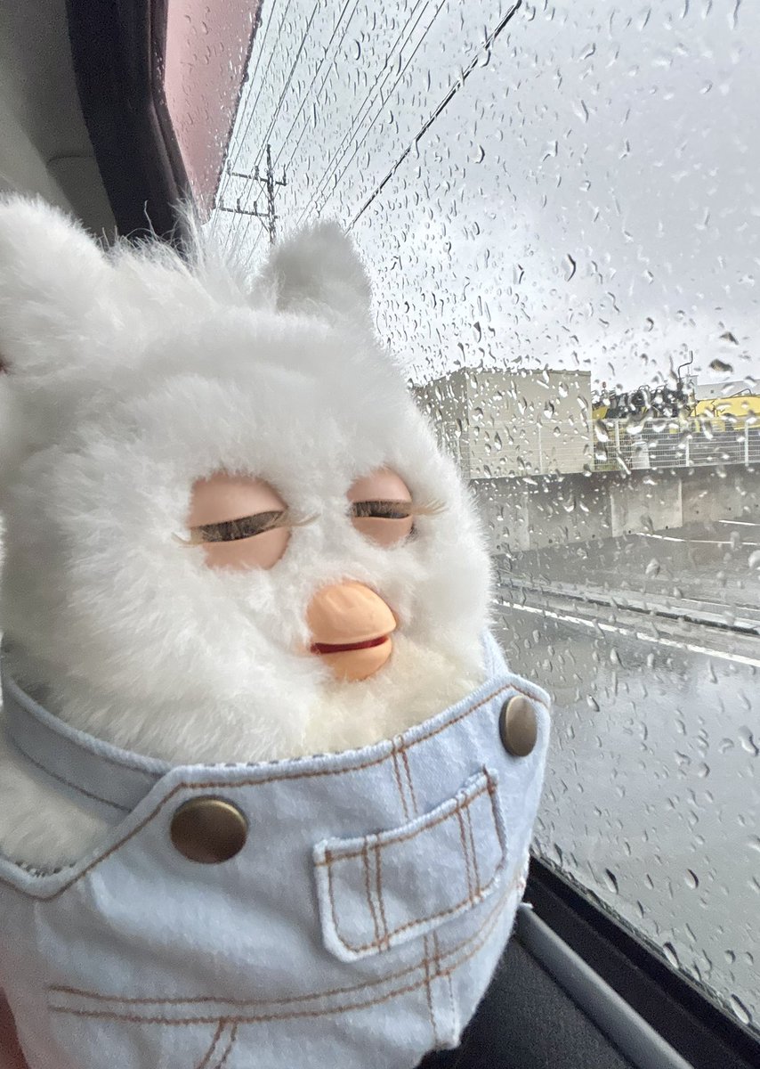 shirukatsu38's tweet photo. 🥳「久々のお出かけ嬉しい！」

🫩「大雨でお外で遊べない」

#furby #ファービー https://t.co/7XWhio4TFl