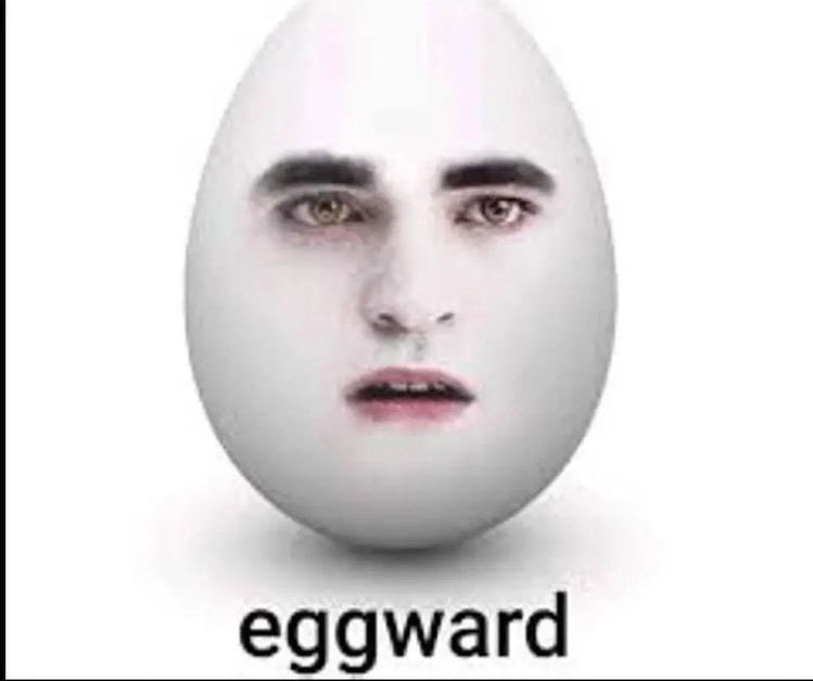 What is this..? The internet was a mistake