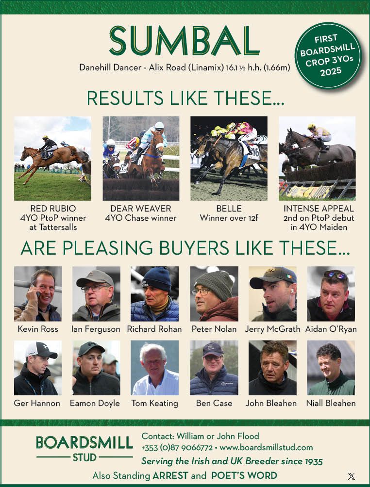 Boardsmill Stud (@boardsmillstud) on Twitter photo This week's ad in <a href="/TheIrishField/">The Irish Field</a>
SUMBAL
1st Boardsmill Crop 3YOs this year.
Impressive results to date from only a handful of runners..... This week's ad in <a href="/TheIrishField/">The Irish Field</a>
SUMBAL
1st Boardsmill Crop 3YOs this year.
Impressive results to date from only a handful of runners.....