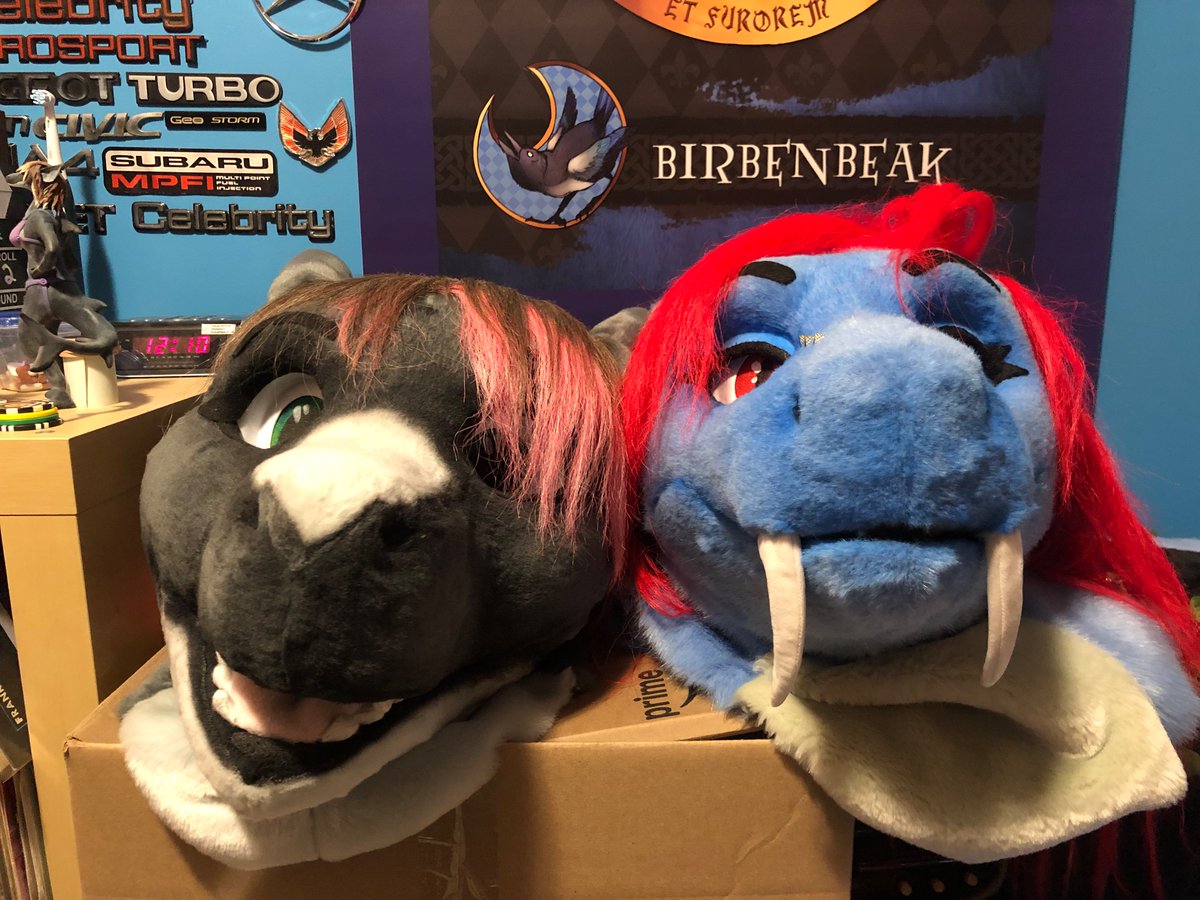 Love me sharks, simple as