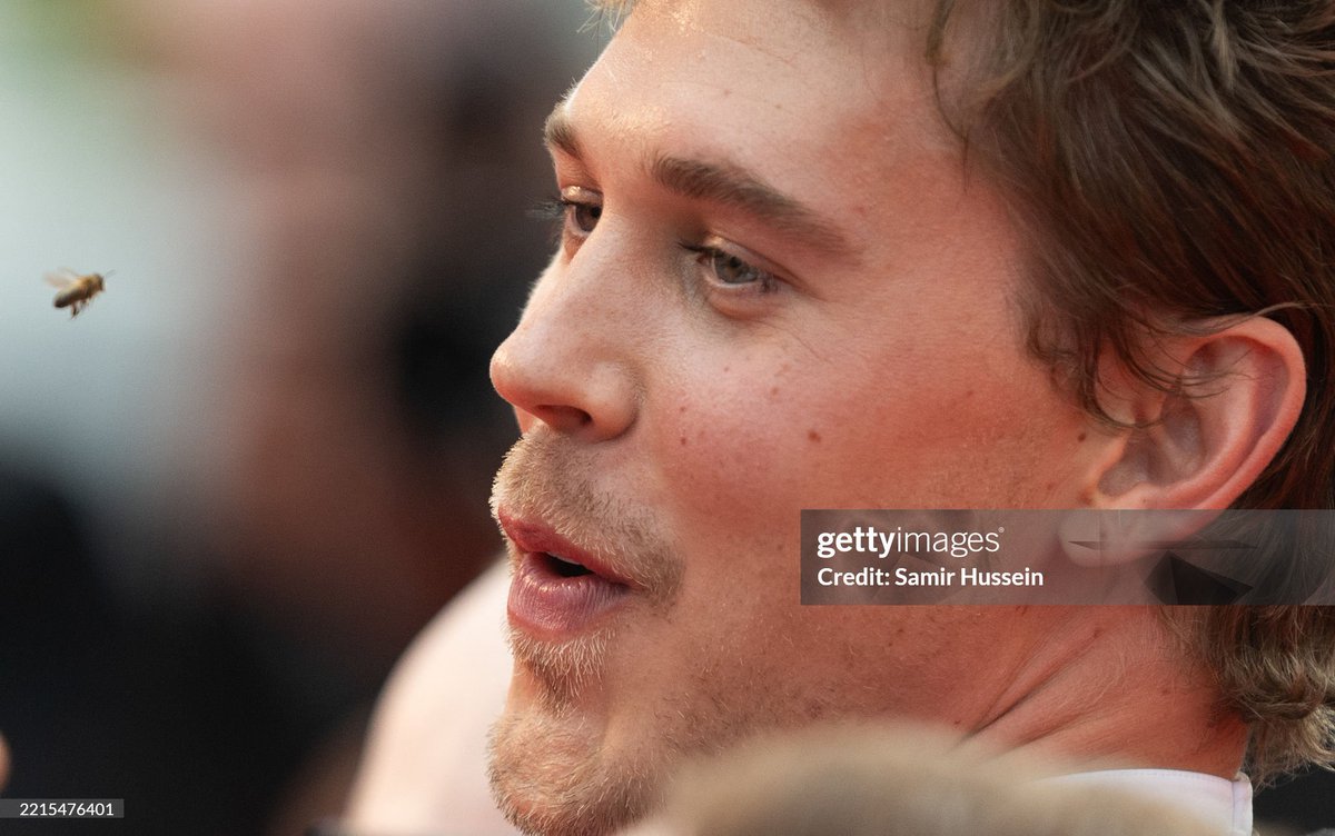 โลกของผึ้ง ฉันเองค่ะที่แปลงร่างเป็นผึ้ง