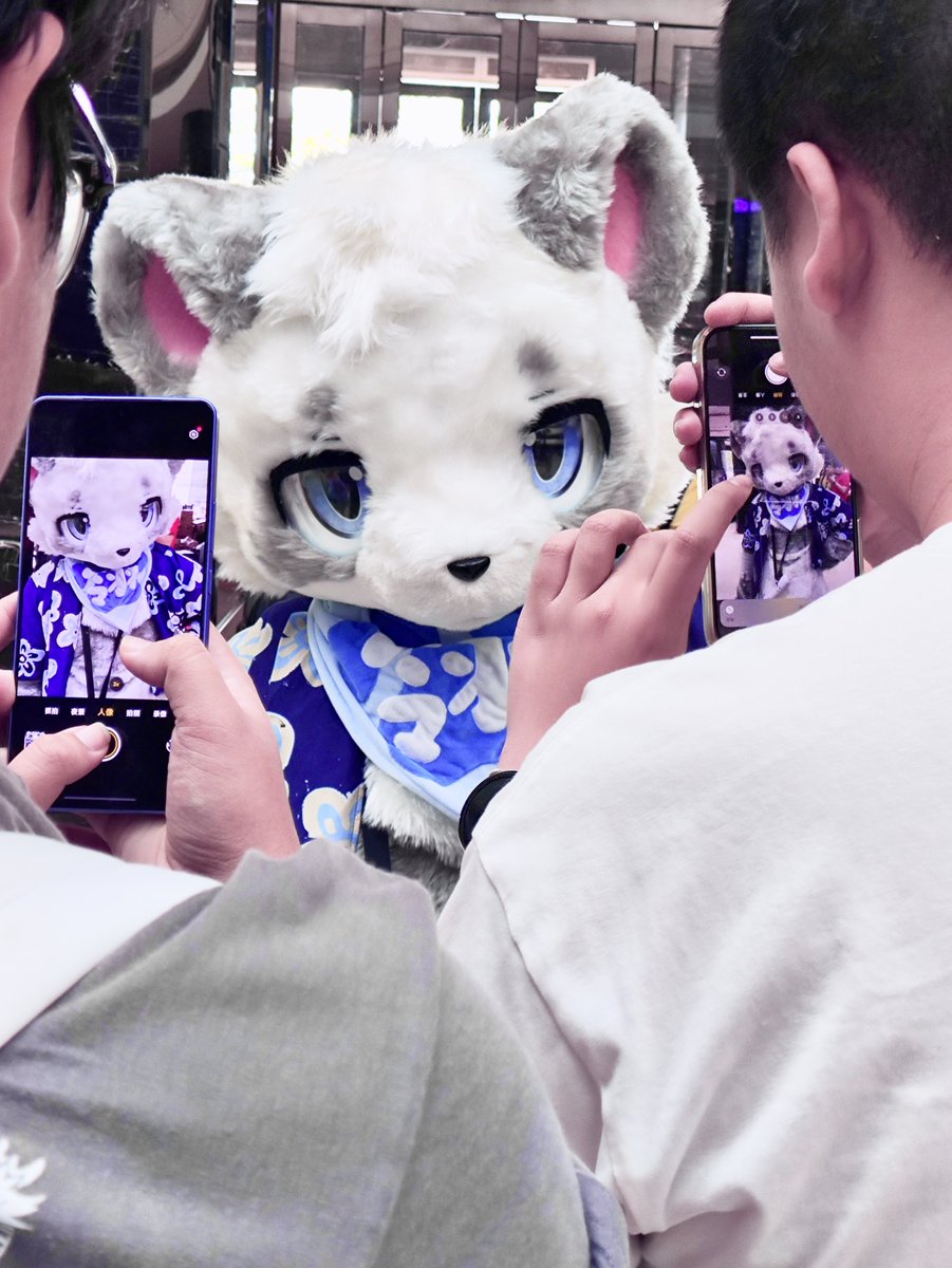 有种当明星的感觉
#furry #FursuitFriday #fursuit