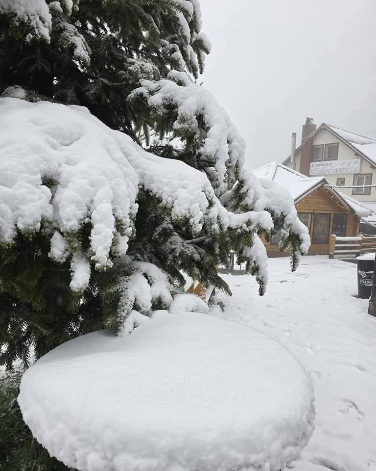 Travel_2Romania's tweet photo. Straja, Hunedoara 🌨️❄🌨️
17 mai 2025
🎥 Cabana Edelweiss - Straja Hunedoara
#racire #frig #ninge #ninsoare #zapada #iarna #avertizare #atentionare #vant #temperaturi #negative #inghet #bruma #prognoza #mai #primavara #WhatsApp ©️Meteoplus https://t.co/59f5PhKNTr