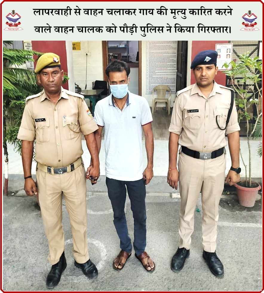 #लापरवाही से #वाहन चलाकर #गाय की #मृत्यु_कारित करने वाले वाहन #चालक को पौड़ी पुलिस ने #किया_गिरफ्तार।