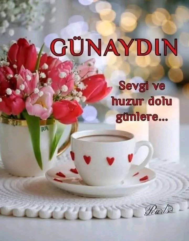 Saglıklı,huzurlu oldugumuz her günümüze şükür olsun..
Günümüz aydın işlerimiz yolunda gitsin inşallah..
#Günaydın