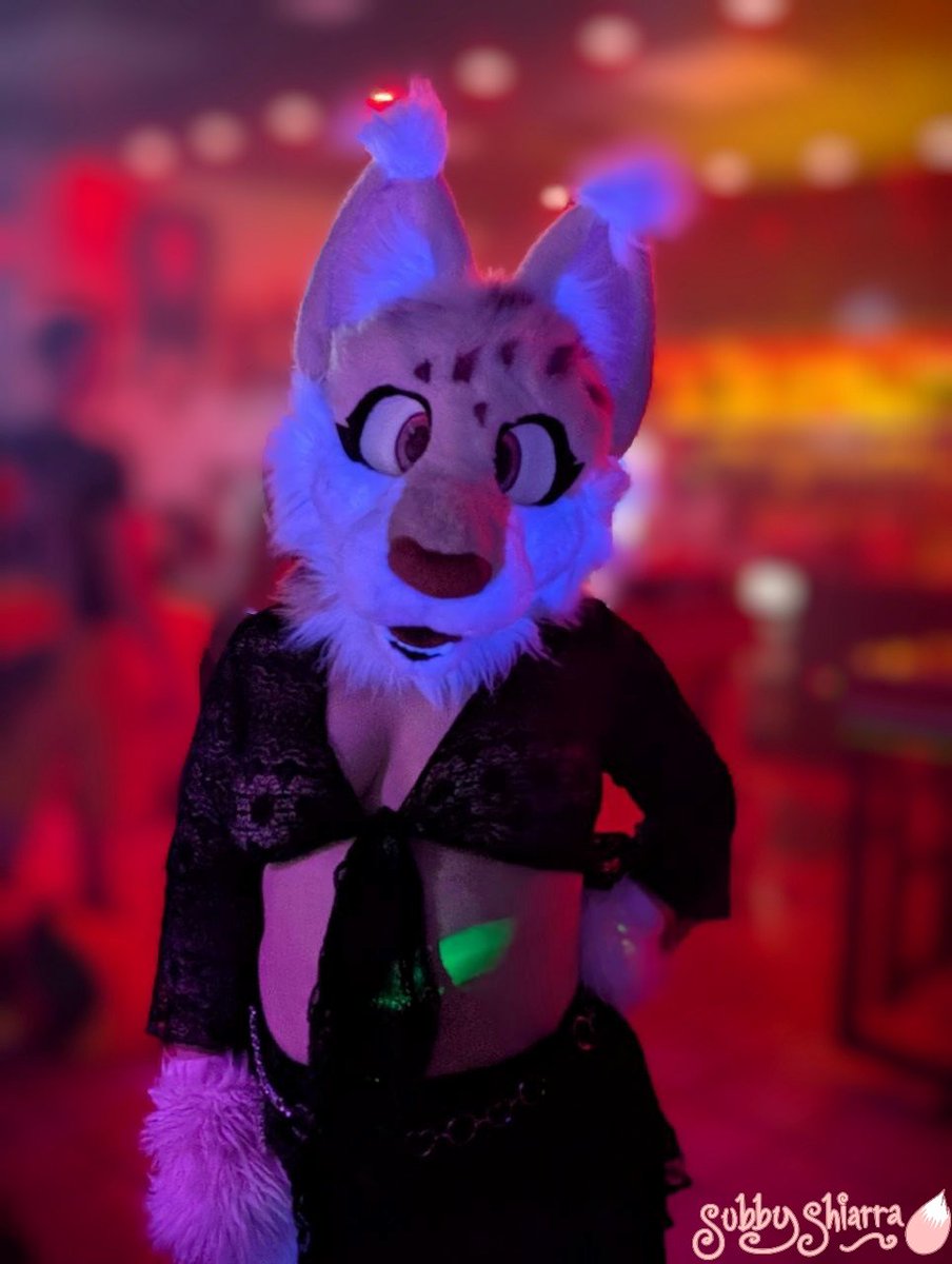 Just A Cat Doing Cat Things tweet media