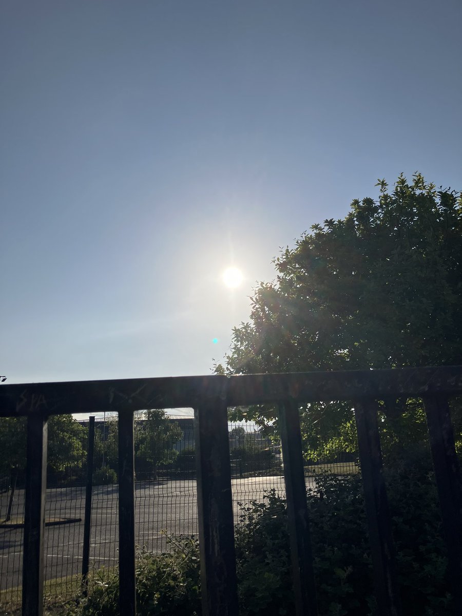 Scouse Egyptologist tweet media