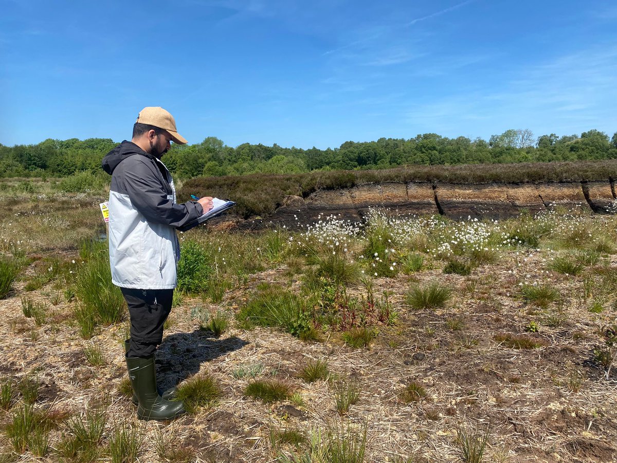 Nice, sunny day ☀️ to start the vegetation survey at <a href="/DTECT_IE/">D-TECT Project</a> site. 

#peatland #drainagestatus #vegetationsurvey