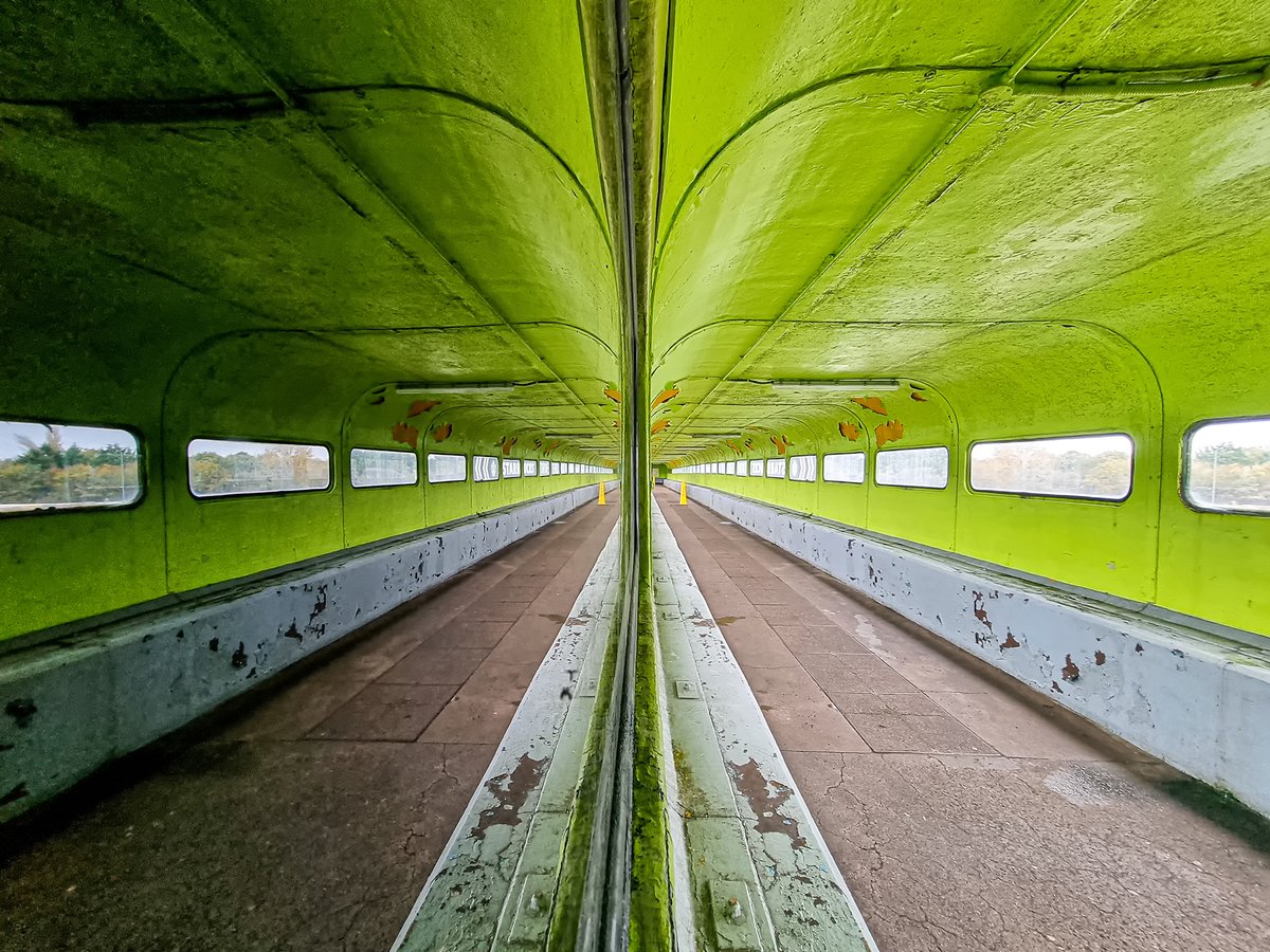 #137 Double Bridge, Corley Services,  07/11/2022

This old bridge connecting the two sides of the motorway services has been slowly deteriorating over the years, it does make for good texture though!

#photography #corley #texture