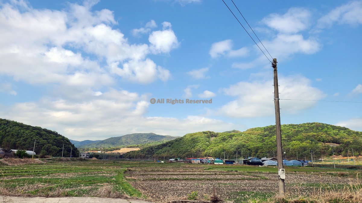 SONf3HnizKiA17L's tweet image. Tranquility flows through fields and wires—Wired Stillness in Spring reflects the poetry of countryside silence and open skies.
#CountrysidePhotography #SpringSky #Rural
Wired Stillness In Spring, Photography by Yeon-Gyeong Seo (Seo) | ArtMajeur artmajeur.com/yeon-gyeong-se…