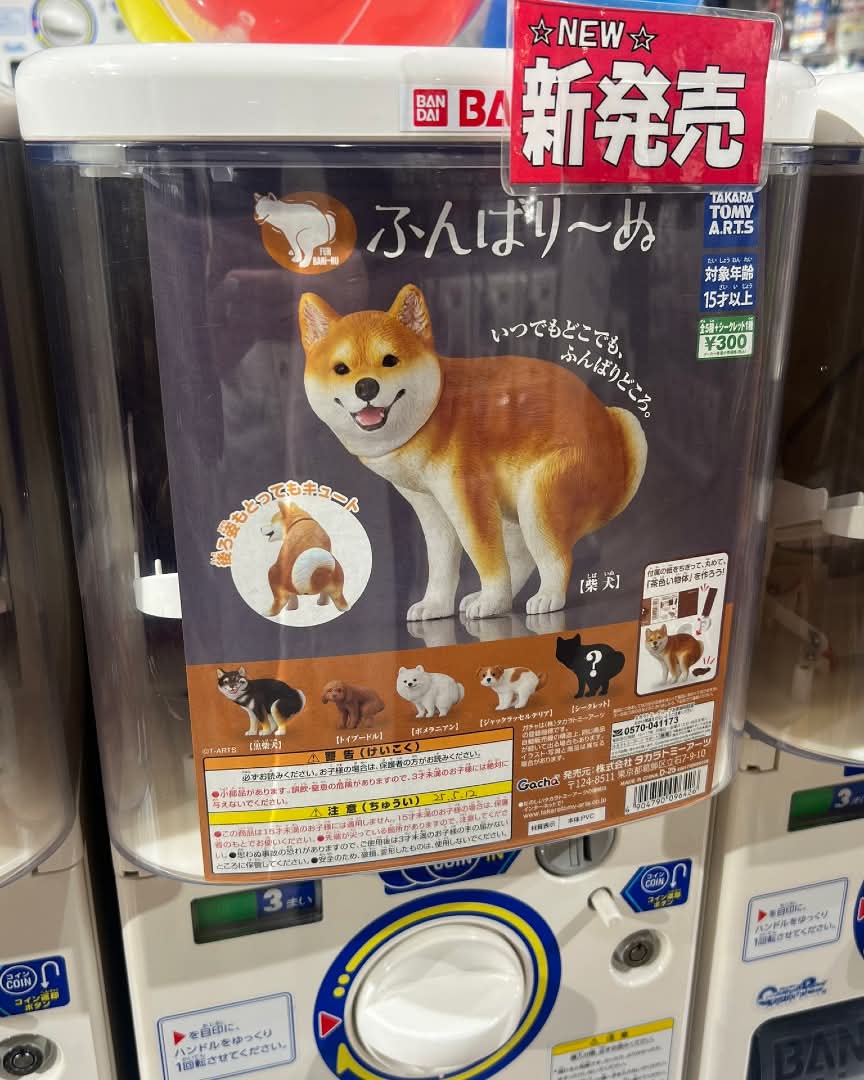 Gacha Machine Collective tweet media