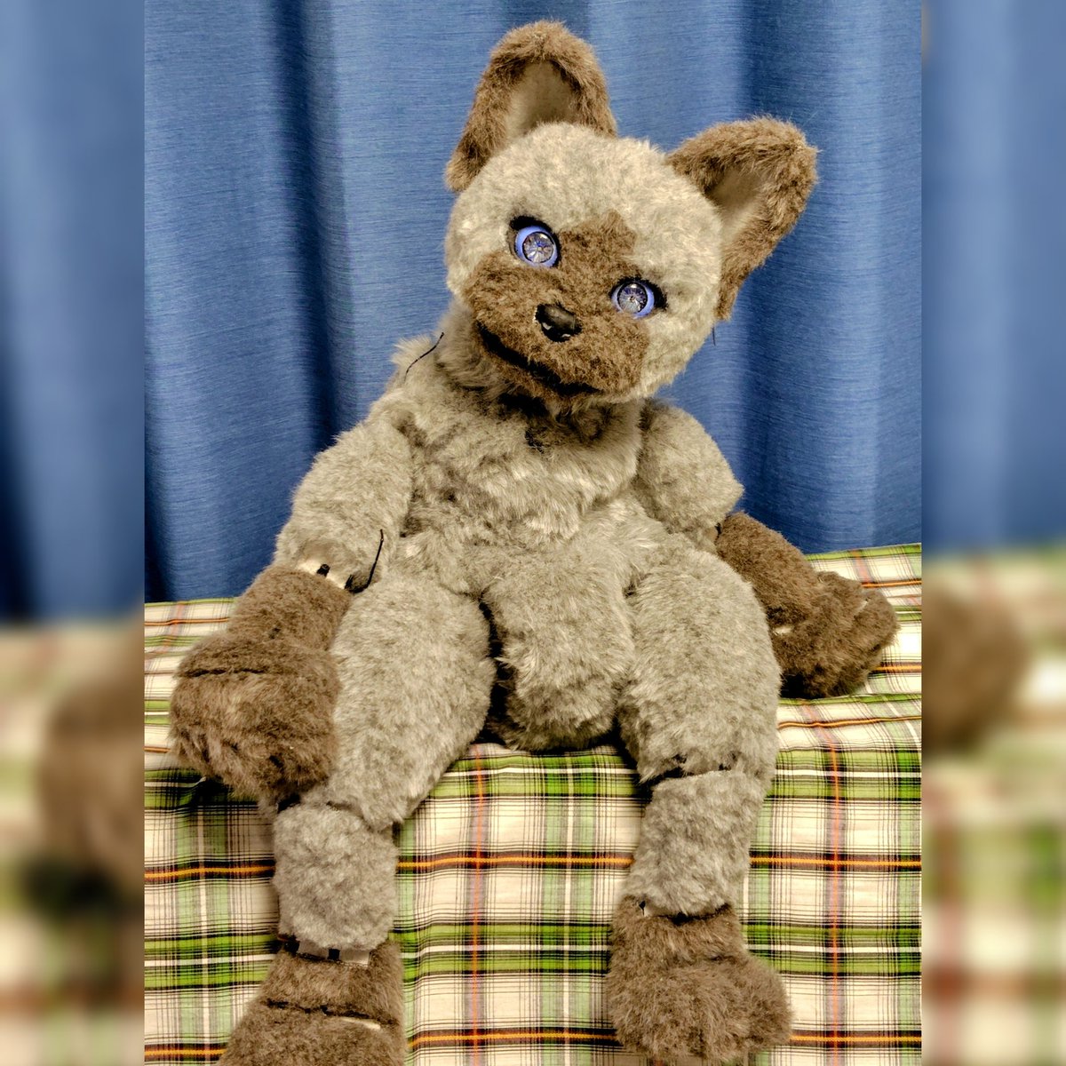 ネコさん
毛皮を着せると一回太る
なんか１枚目が不服そうでかわいい

もう少し毛刈りをします😅

猫背ですけど糸をつけると
もう少しスマートになるはずです

#マリオネット #ネコスタグラム #marionette #catstagram_japan #元気がない #不服そう