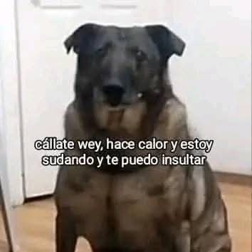 En_jupiter_'s tweet image. 