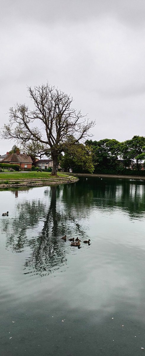 Jesmond Dene parkrun tweet media