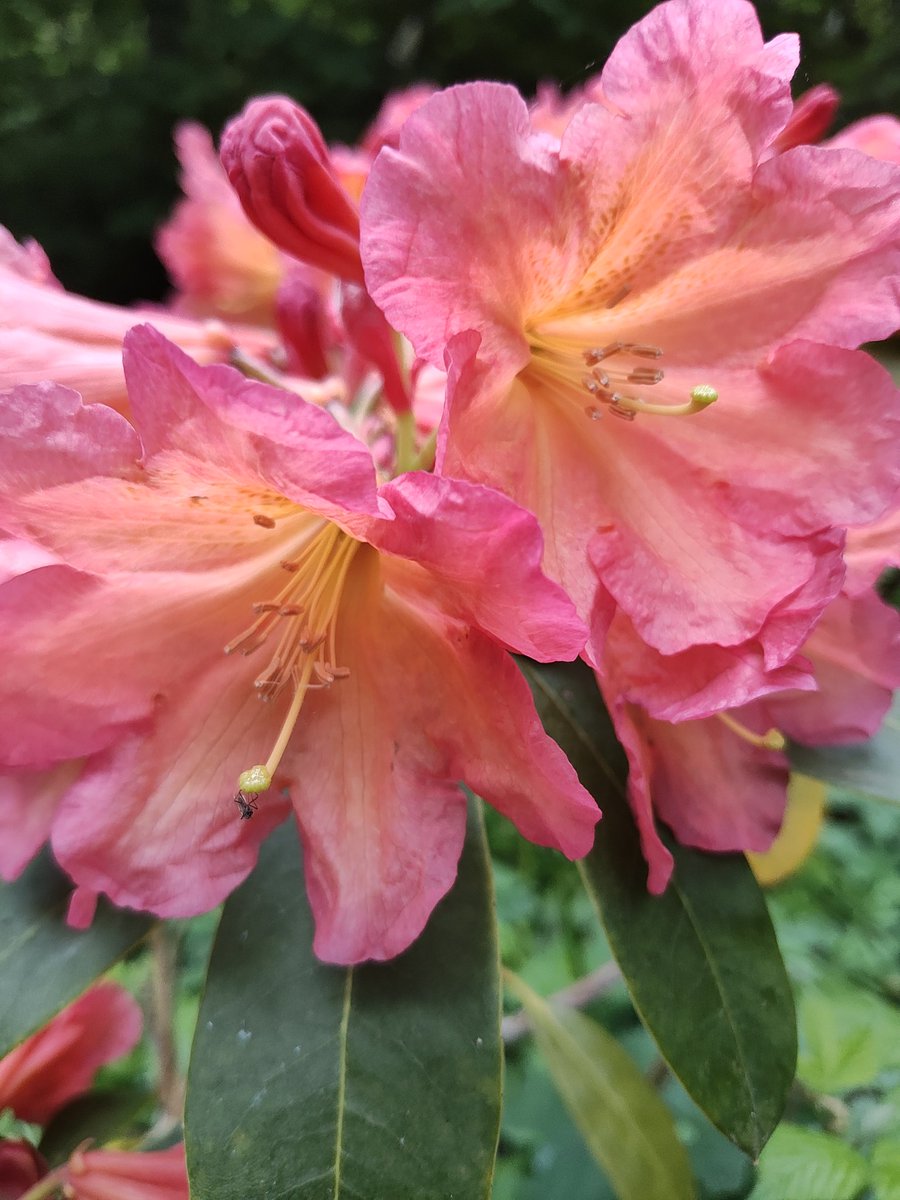 Jesmond Dene parkrun tweet media