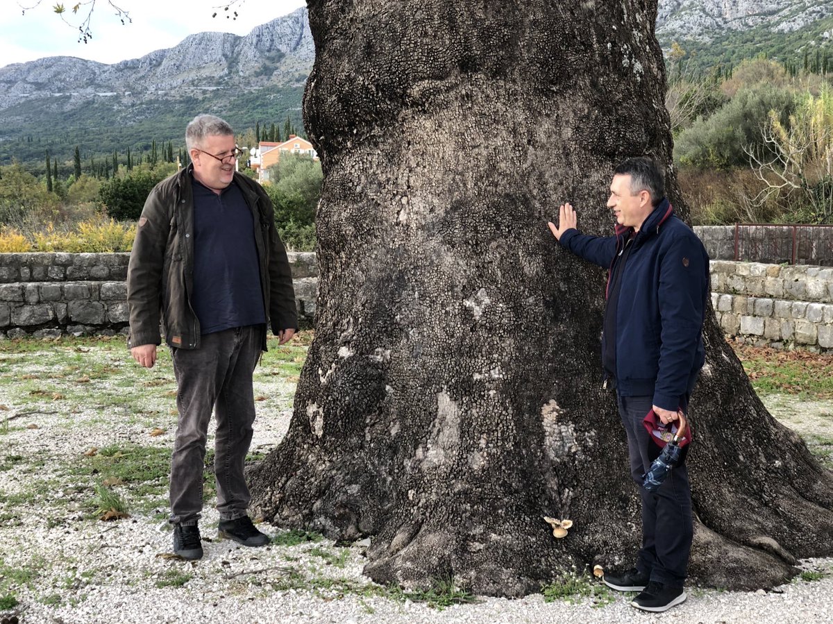 Konavle, prije pet godina.