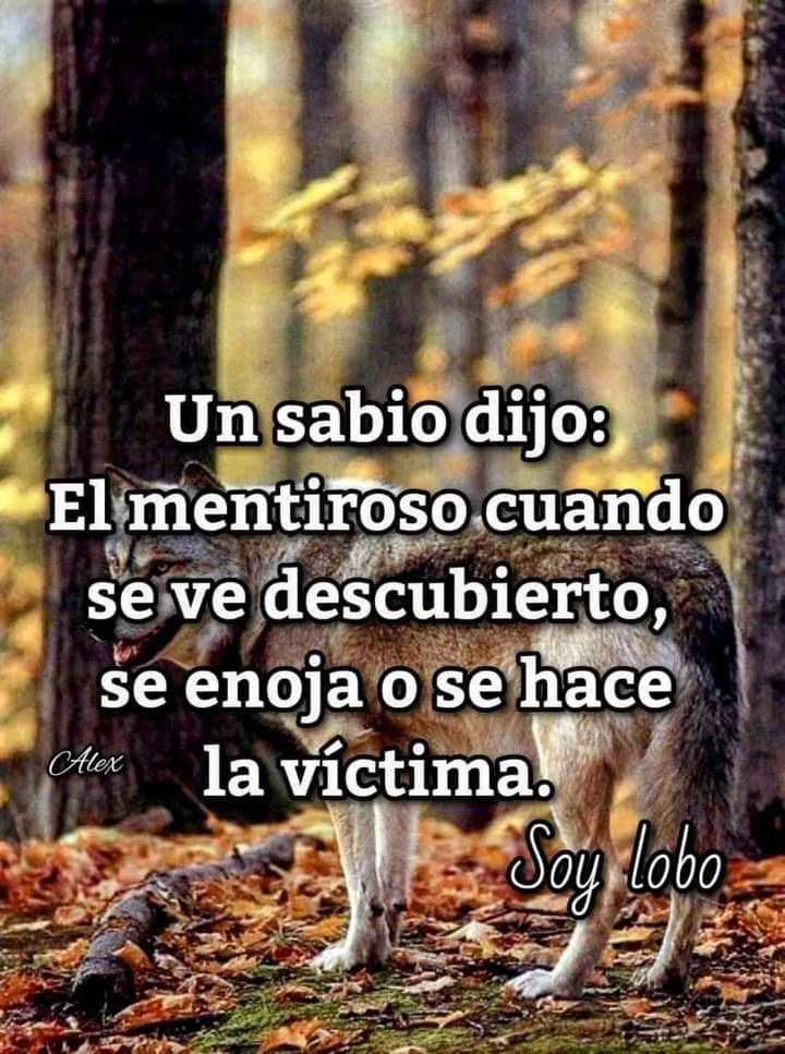 VidaEquilibrada (@vidaequilibrad4) on Twitter photo 