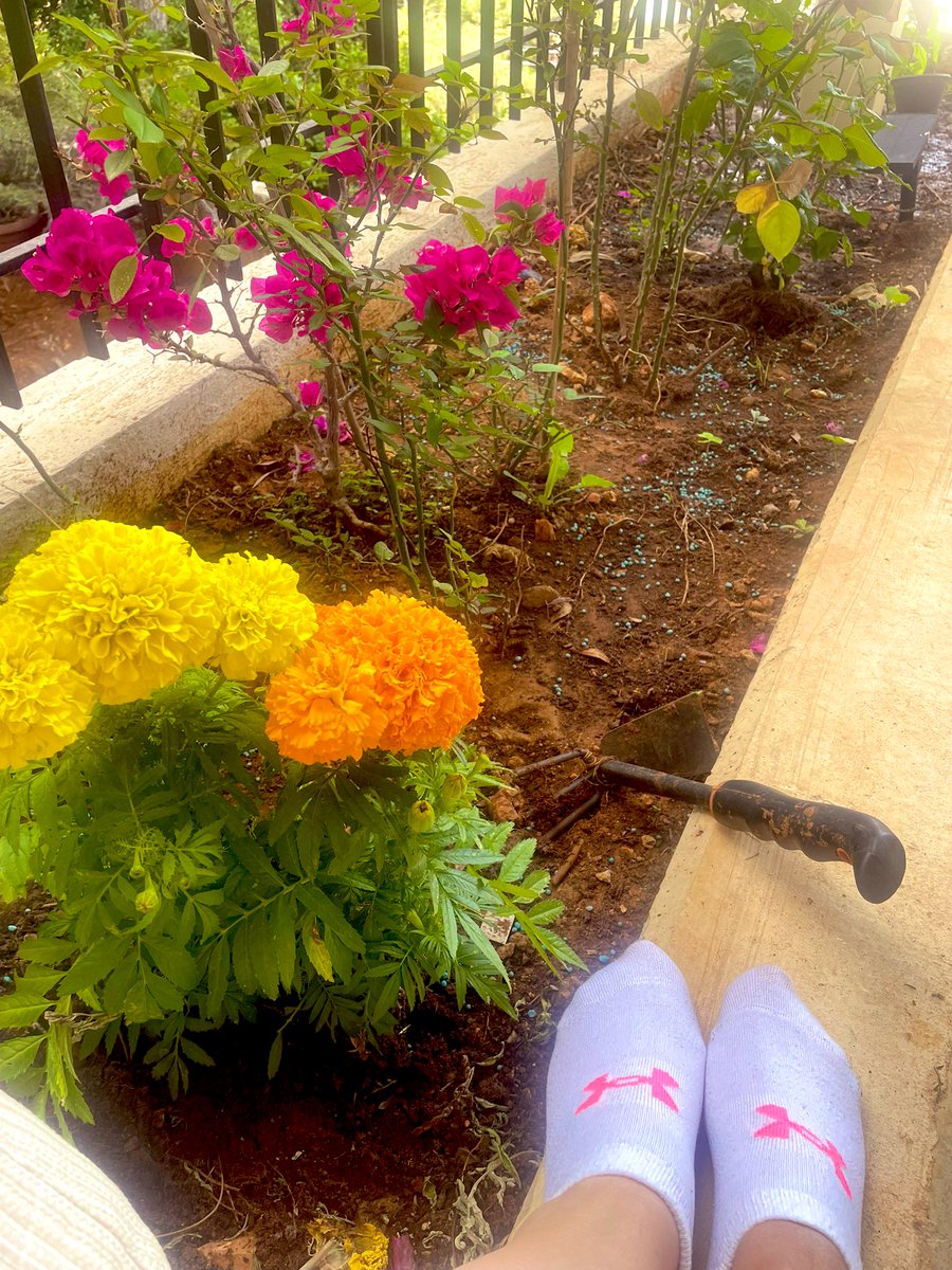lamsalebanon1's tweet image. Connectedness with nature.
“While loneliness has the potential to kill, connection has even more potential to heal.” - Vivek Murthy
#SaturdayMotivation #Wellbeing #LifestyleMedicine #quote