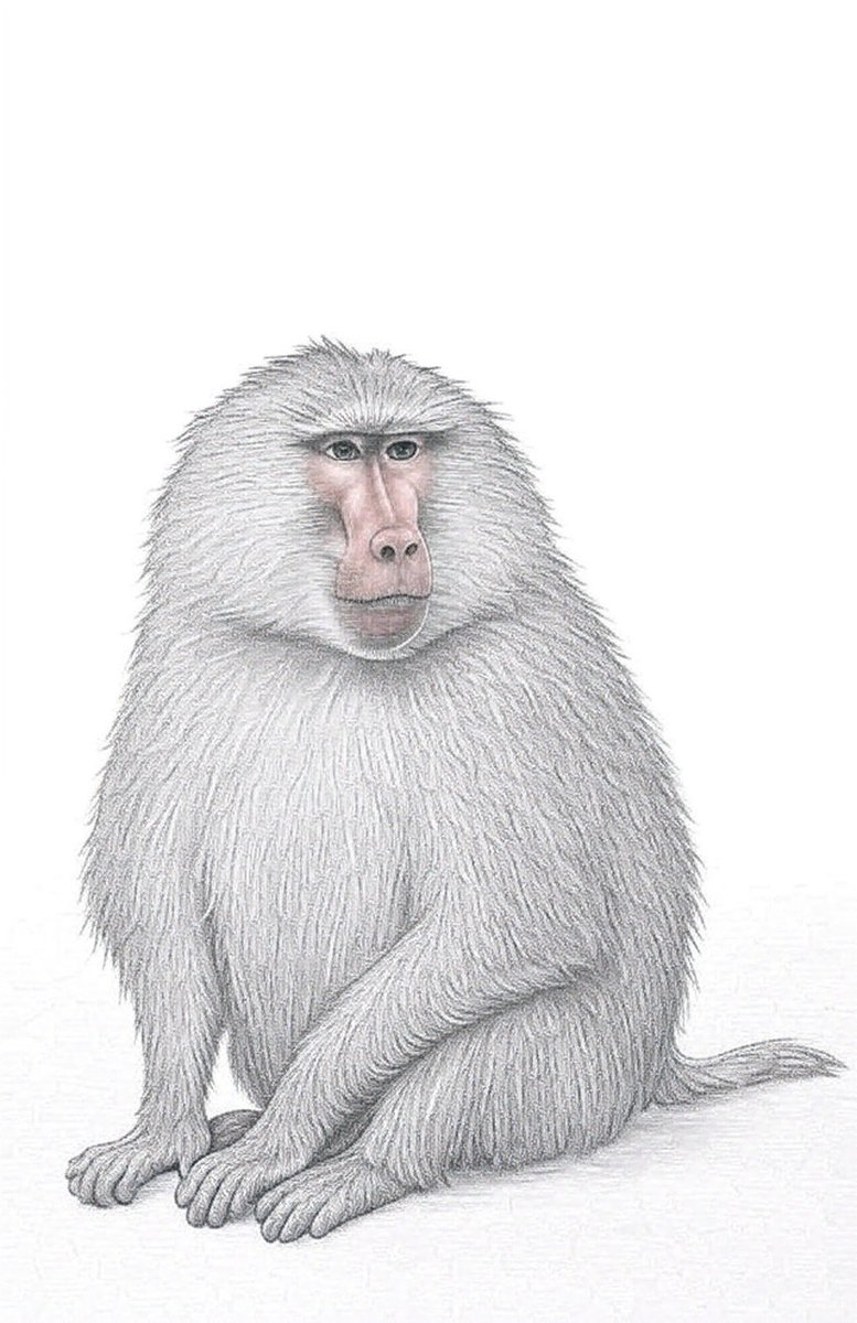 そういえば、母の日にひらがな練習中の我が子からプレゼントを貰った！「ママ〜大好き」って言いながら渡されたのがコレ。おぉ、スプランキーがなんか言ってる！うん👀ひひ⁈😂😂　間違えて覚えたみたいだけど、かわいい😆ありがとう❤️ひひってこんな感じらしい‥