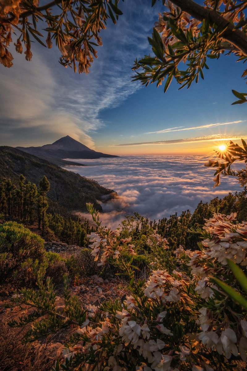 Ayer la puesta de sol nos regalaba esta estampa. Un privilegio poder disfrutar de lugares así tan cerca de casa

#Tenerife #Canarias #Teide