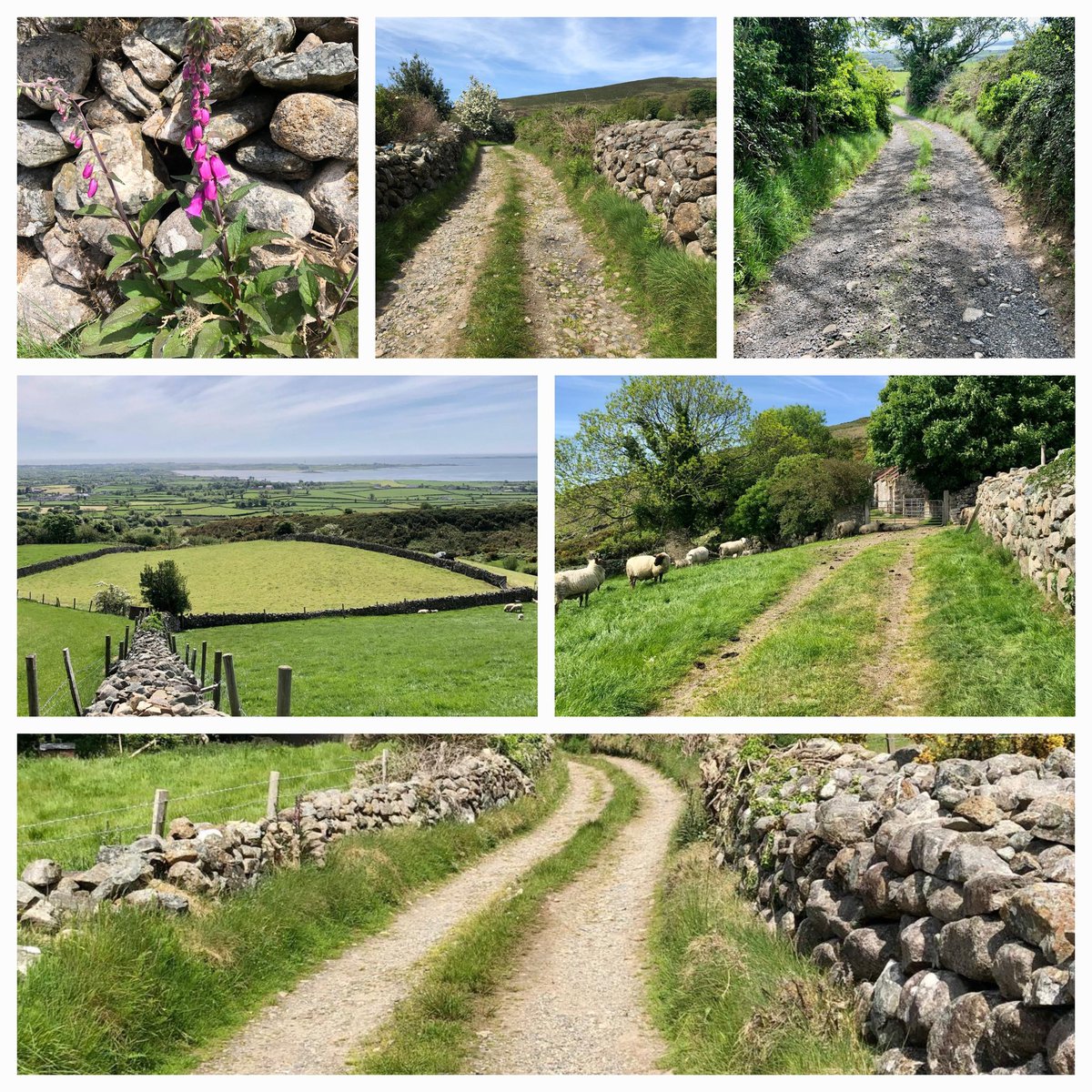 Lizzy Tanner (@lizzytanner) on Twitter photo Day 16 of #walkamileadayinmay and <a href="/SouthernHSCT/">Southern Trust</a> learning and development team are having a renewed realisation of what a beautiful place we live in. <a href="/BHorganSHSCT/">Brenda Horgan</a> <a href="/MarshaSwMum/">Marsha Begley</a> <a href="/MaireadMcgahan/">Mairead McGahan</a> <a href="/Anthony64261623/">Anthony Martin💙</a> <a href="/Gareth_Miller1/">Gareth Miller</a> Day 16 of #walkamileadayinmay and <a href="/SouthernHSCT/">Southern Trust</a> learning and development team are having a renewed realisation of what a beautiful place we live in. <a href="/BHorganSHSCT/">Brenda Horgan</a> <a href="/MarshaSwMum/">Marsha Begley</a> <a href="/MaireadMcgahan/">Mairead McGahan</a> <a href="/Anthony64261623/">Anthony Martin💙</a> <a href="/Gareth_Miller1/">Gareth Miller</a>