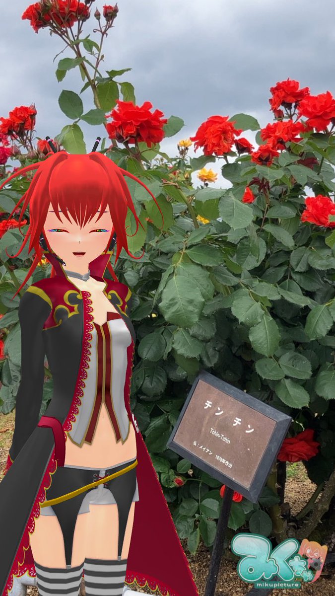 Shiokaze_ehime's tweet photo. よしうみバラ公園🌹(今治市吉海町)と
みきゃん達

ルンバ、チンチン…いろいろなバラの名前

正雪という白いバラ、
これは雪さん❄️にも見せたいな〜

※チンチンはフランス語で
「乾杯」という意味です

#みくちゃ
#CULART https://t.co/E0uEOUtss4
