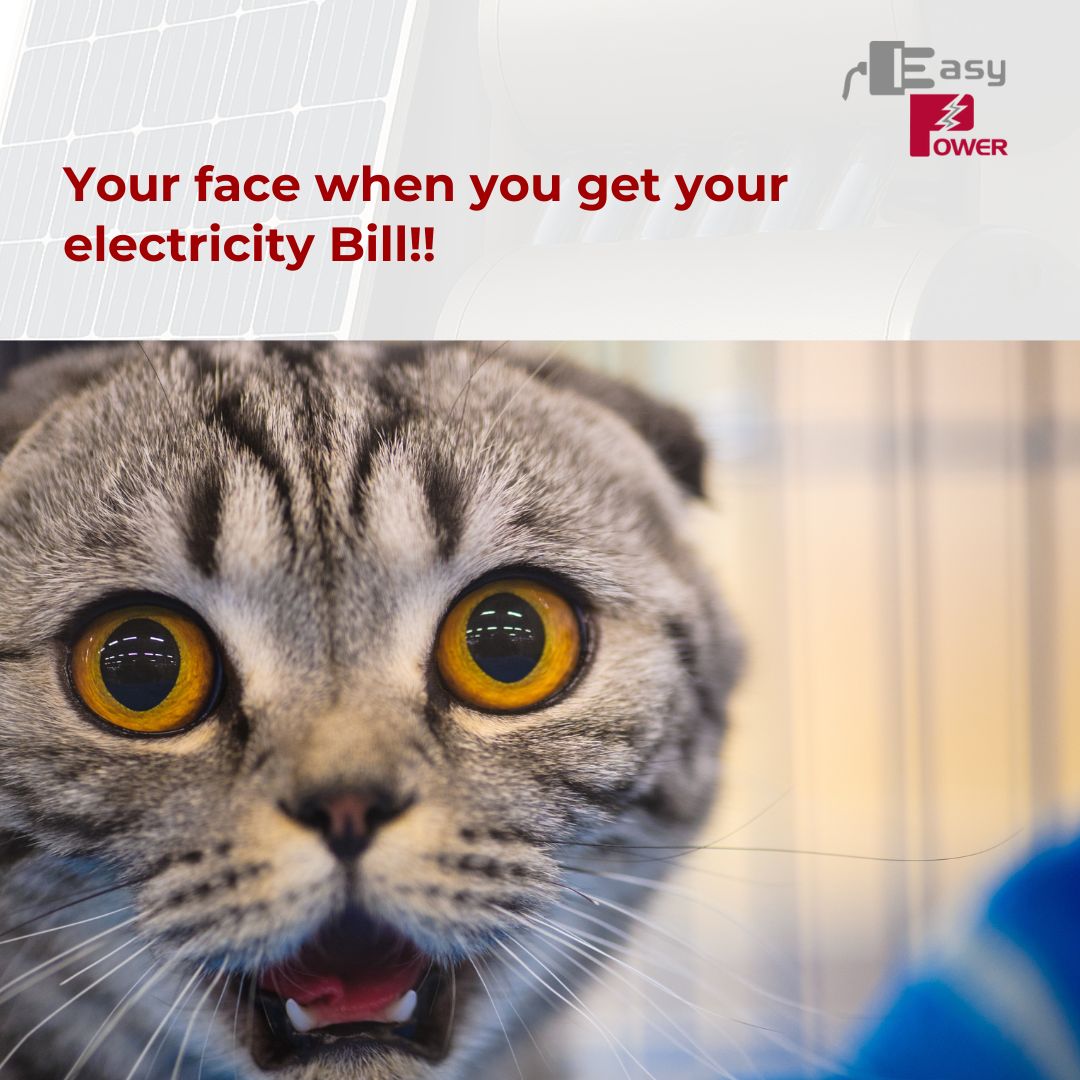 That moment when your electricity bill arrives and you could have powered your home with EasyPower Solar for endless enjoyment.
Tag someone who needs to escape bill shock , DM us today for your solar consultation or contact us on  0789931735 ,0392001947
