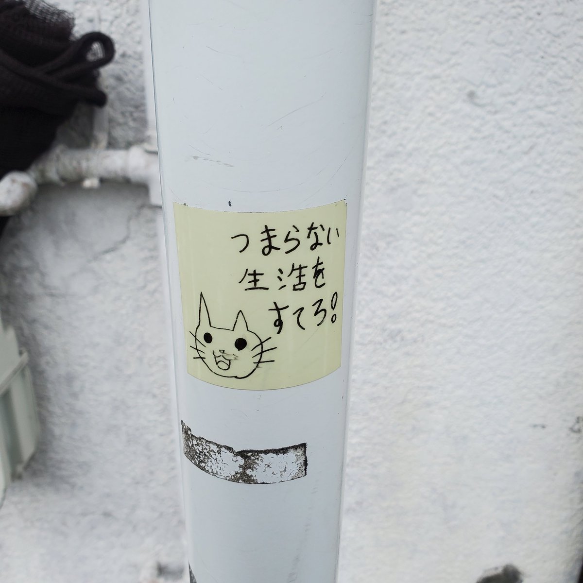 特撰毒鳳梨 tweet media