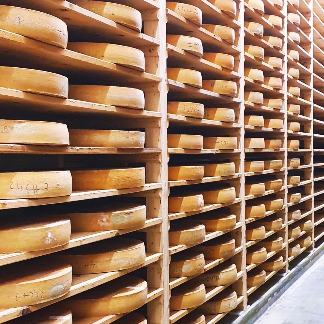 ATerlynck's tweet image. 🧀🍷 Les fruitières vinicoles, les fruitières à Comté du #Jura : des exemples de résilience et d&apos;agilité collective pour répondre aux défis économiques, humains et climatiques. 
🌲 Territoire, coopération, excellence, exigence, dynamique, avenir.
Merci pour l&apos;accueil
#DevAgriLCA