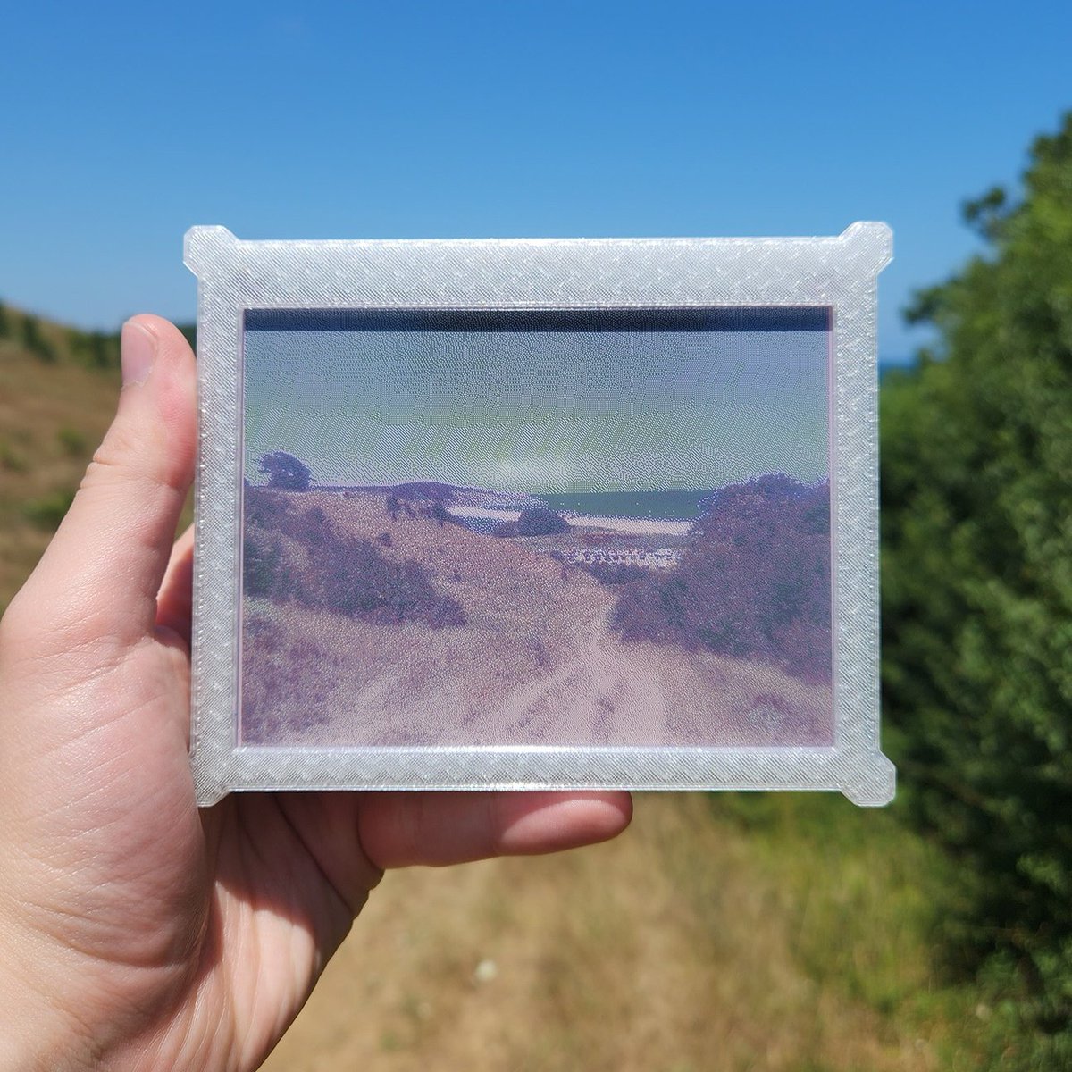 cover photo taken with my eink camera last summer!