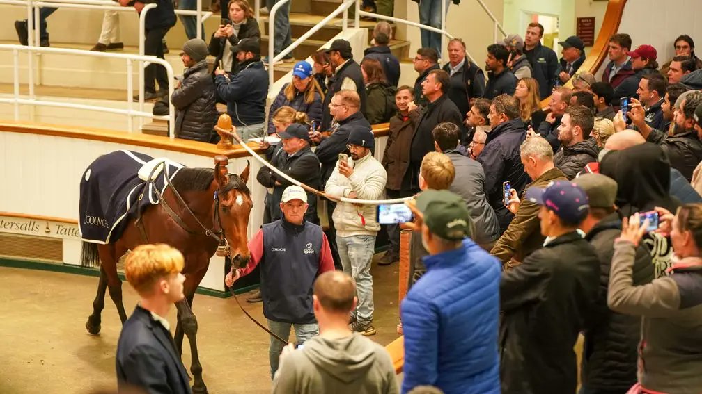 'He's only going to keep improving off the back of that experience' 

The 1.3m guineas Tattersalls HIT Sale record-breaker Sir Delius has the Melbourne Cup on his agenda after a fine Group 3 win on his Australian debut 🇦🇺

👉 bit.ly/3YQ0Gwb