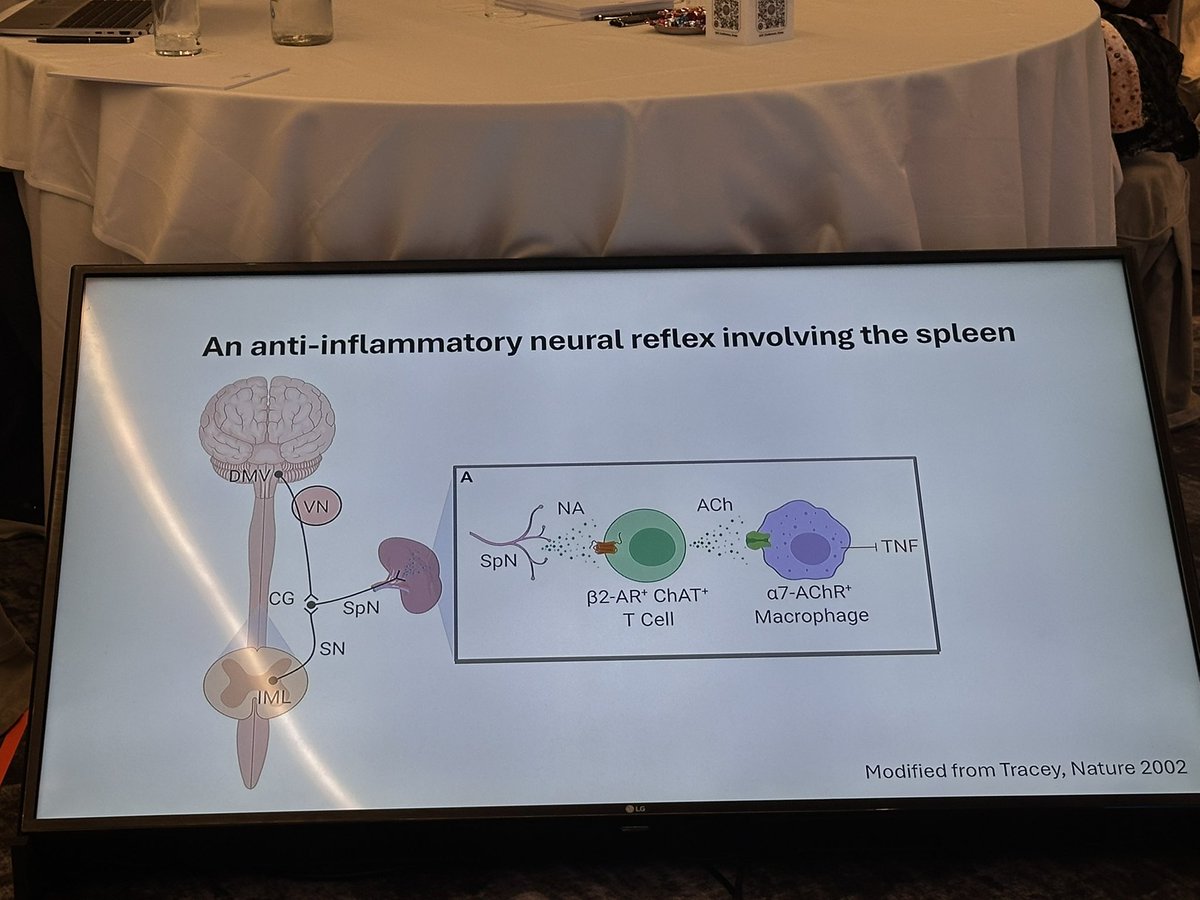 Great talk by <a href="/StavrosZanos/">Stavros Zanos</a> around anti-inflammatory function of the spleen and how drugs/ devices may be able to target splenic/ vagal nerve to suppress inflammation. Some blue sky discussion