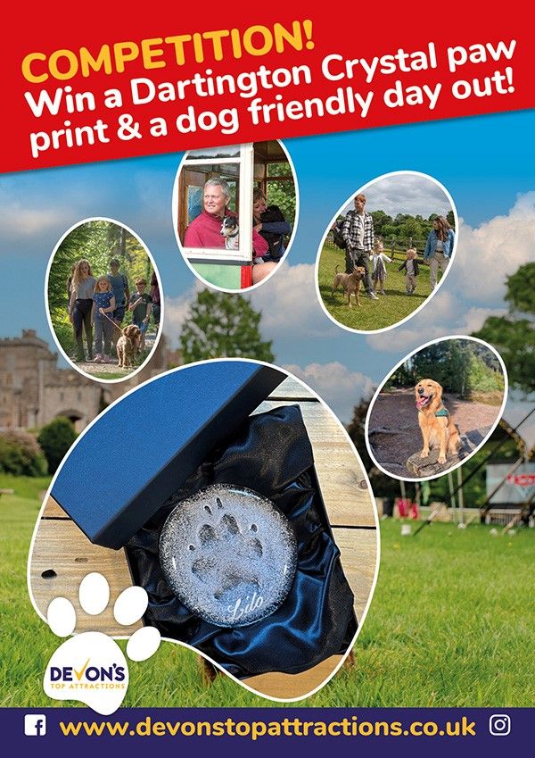 DevonTopDaysOut's tweet image. 🐾 WIN a Dartington Crystal paw print + a dog-friendly day out!
📍 Enter at the Devon’s Top Attractions stand on Avenue A at #DevonCountyShow
🎁 Free goodies
🐶 Dog-friendly Devon tips
💎 Beautiful crystal prize!
Enter online buff.ly/LXeFsPk 
#DogFriendlyDevon