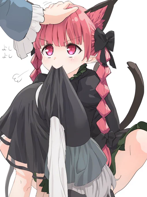 狩った獲物を持ってくる賢いねこちゃん 
