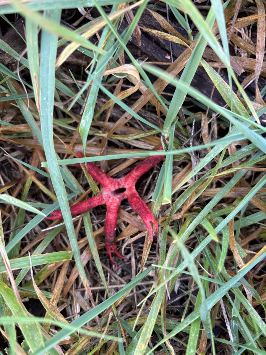 Anyone know what this is?