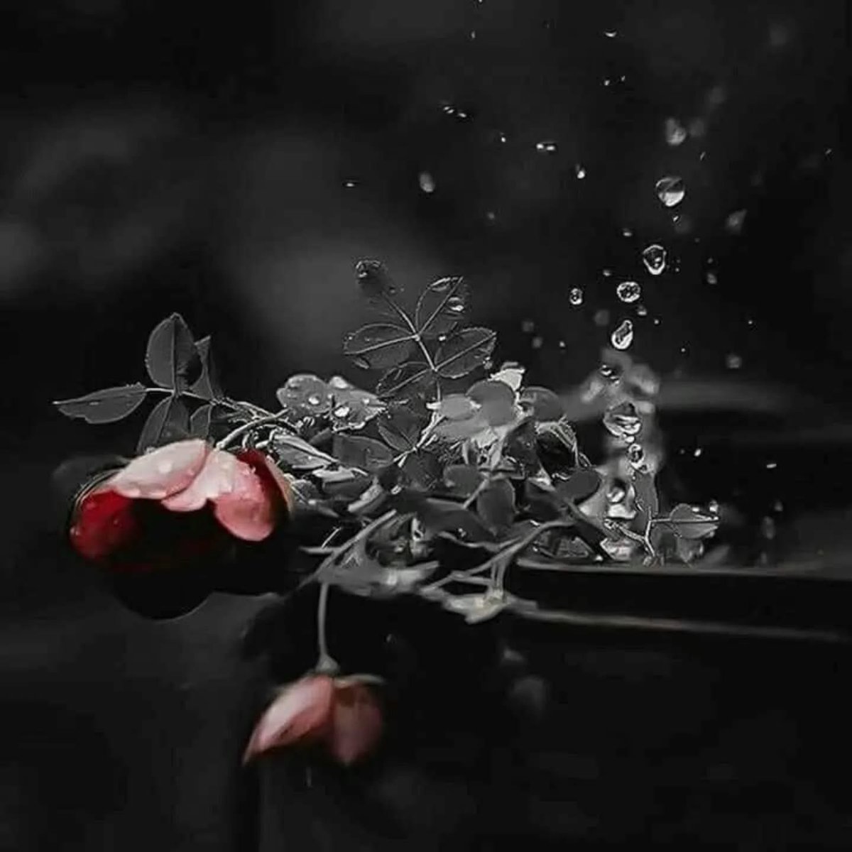 |

Bazı şeyleri anlatmak istemiyorum..

Çünki, 
ANLATMAK kadar kolay yaşamadım..!

_______